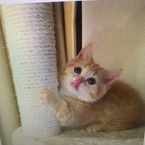 Meet your Posher, Gianna